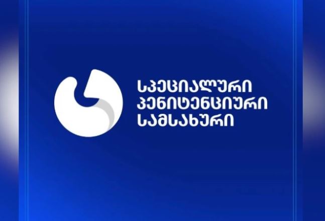 „გიორგი დავითაძემ დემონსტრაციულად, გადაყლაპა გაურკვეველი მცირე საგანი“ - პენიტენციური სამსახური განცხადებას ავრცელებს