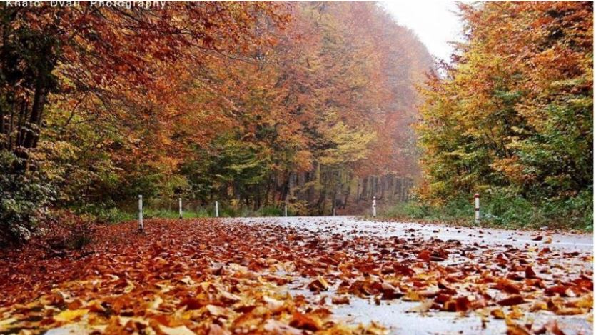 17 ოქტომბრის ამინდის პროგნოზი