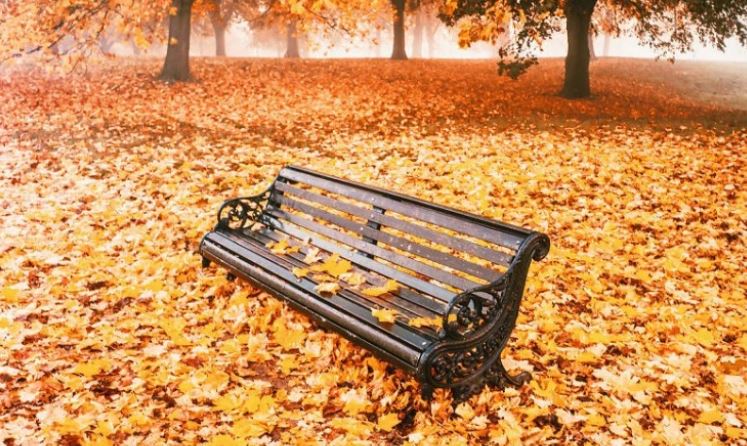 12 ოქტომბრის ამინდის პროგნოზი