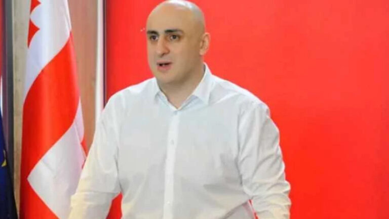 " როცა მე მებრძვით, მიხეილ სააკაშვილს ებრძვით" – ნიკა მელია