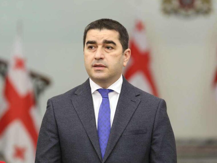 "ერთადერთი, რაზეც კონსულტაციები შეიძლება გაიმართოს, ეს არის, როდის გადმოსცემს უკრაინა საქართველოს ზურაბ ადეიშვილს და გია ლორთქიფანიძეს"