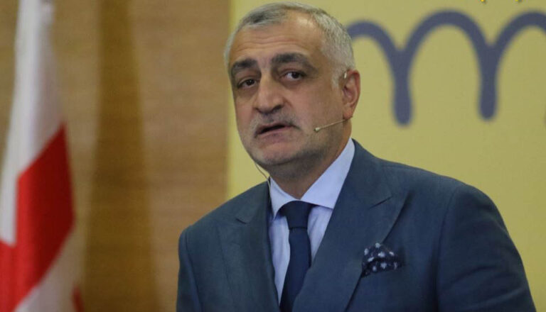 "მიმდინარეობს საქართველოს ჩუმი ანექსია"- მამუკა ხაზარაძე