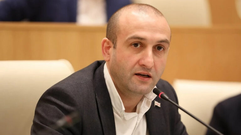 იაგო ხვიჩიამ სახალხო დამცველად საკუთარი კანდიდატურა დაასახელა