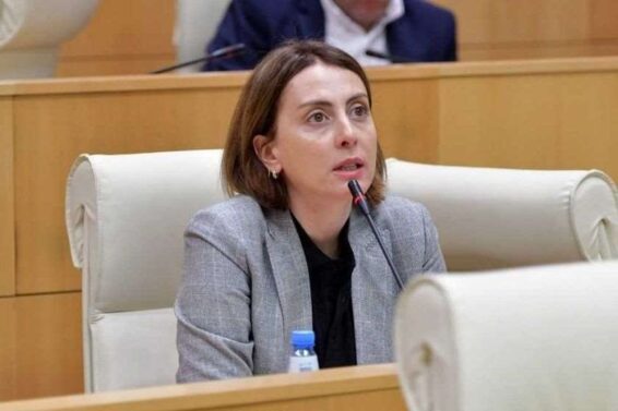 "სახალხო დამცველის არჩევის წესი იგივე უნდა დარჩეს"- ხატია დეკანოიძე