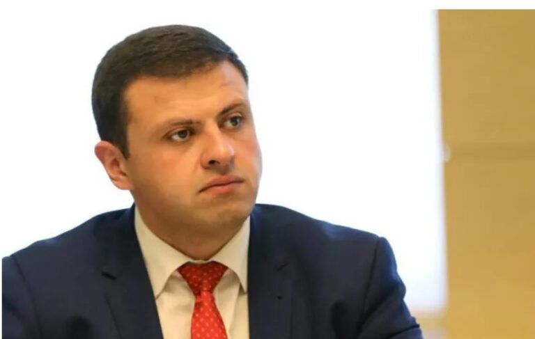 "ვინმეს სჯერა, რომ ბიძინა ივანიშვილი დროს კარგავდა სოსო გოგაშვილთან ჭორაობაზე?" – ანდრია გვიდიანი