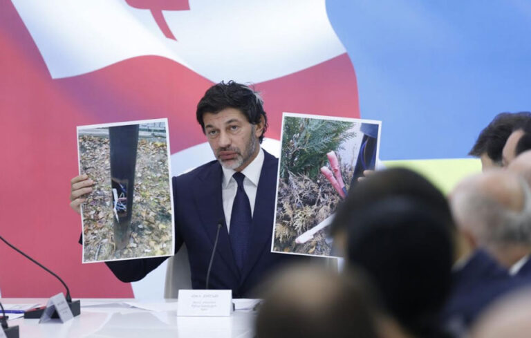 " სკვერებსა და პარკებში დაზიანდა განათების ბოძები, ხსნიან, იპარავენ დამცავ ხუფებს"- კახა კალაძე