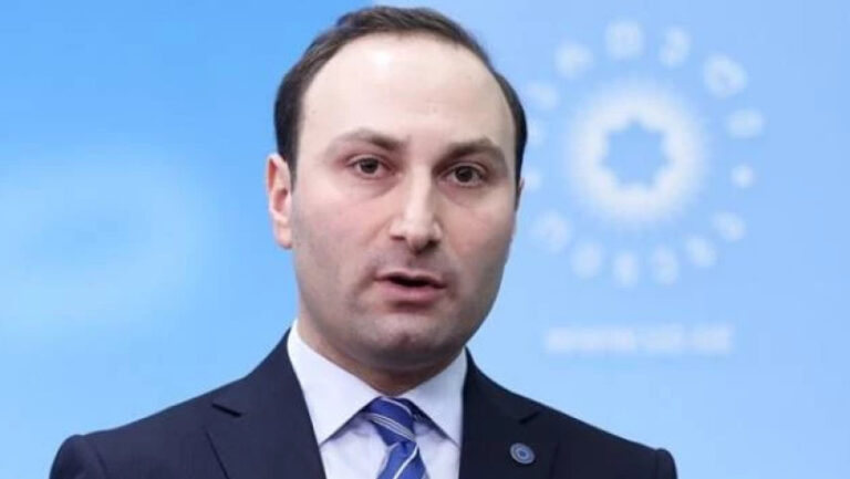 "ვაშაძე და ჯაფარიძე ახლა უკვე ქვეყნის გარეთ დადიან და სახელმწიფოს საწინააღმდეგო კამპანიას ეწევიან"- ანრი ოხანაშვილი