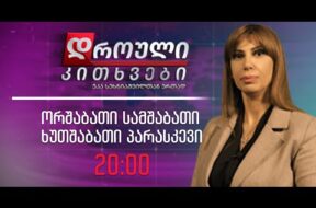 ,,დროული კითხვები” ეკა სეხნიაშვილთან ერთად