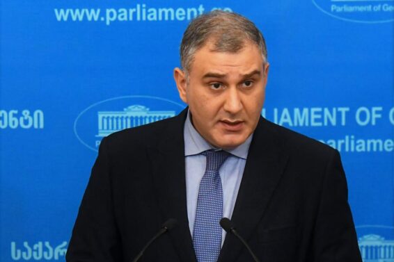 "მე არ ვარ დაინტერესებული ჩემი შვილებისთვის საგანმანათლებლო სერვისების რუსეთში ძიებით" – სარჯველაძე