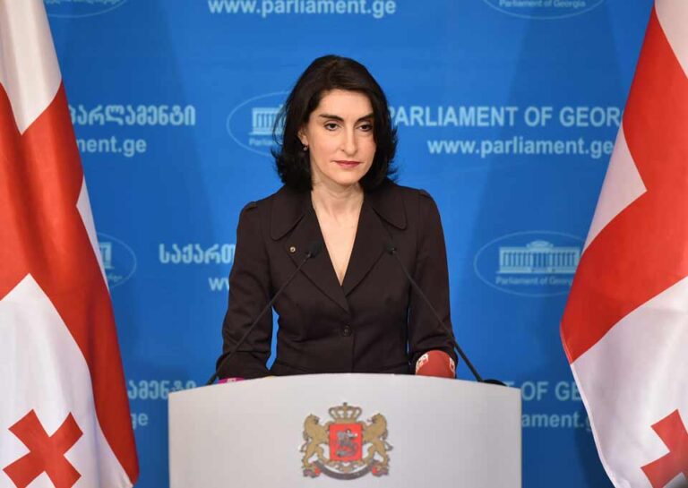 "წარმოუდგენელია წევრი ქვეყნების თანხმობის გარეშე უვიზო რეჟიმის გაუქმება" – მაკა ბოჭორიშვილი