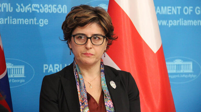 "12 პუნქტის შესრულებაზე მუშაობის კუთხით ყველაზე მეტი შენიშვნა „ნაციონალურ მოძრაობასთან“ მაქვს"-ხათუნა სამნიძე