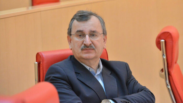 სალომე ზურაბიშვილმა როგორც საერთო ოპოზიციურმა საპრეზიდენტო კანდიდატმა, საპრეზიდენტო კამპანია უნდა დაიწყოს -რომან გოცირიძე