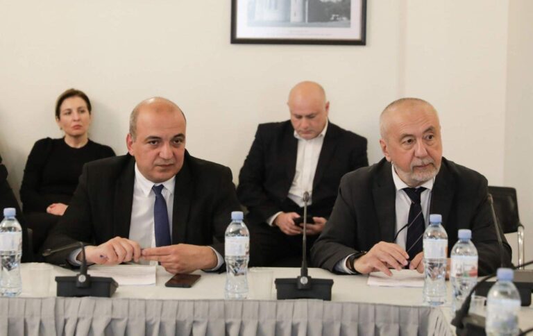 დიასპორისა და კავკასიის საკითხთა კომიტეტმა რუსთაველის ეროვნული სამეცნიერო ფონდის მიერ განხორციელებული და დაგეგმილი პროექტების შესახებ ინფორმაცია მოისმინა