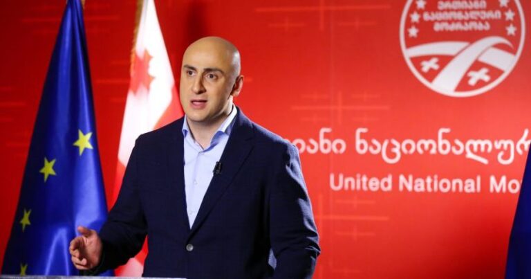 "ნაცმოძრაობის" ყოფილი თავმჯდომარე, ნიკა მელია ენმ-დან მიდის?!