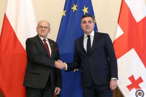"პოლონეთის სახით საქართველოს ძლიერი და საიმედო მხარდამჭერი ჰყავს"-ილია დარჩიაშვილი