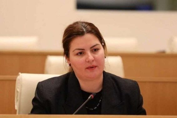 "სტრასბურგის სასამართლოს სრულ ნდობას ვუცხადებ, არ მიმაჩნია, რომ ვინმე ჩაერია და რაიმე ტიპის მოსყიდვას ჰქონდა ადგილი"-ანა ნაცვლიშვილი