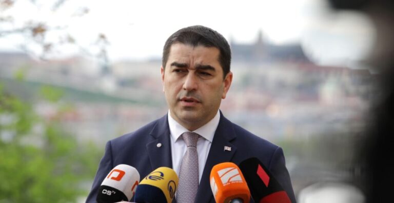 "მაუწყებლობის შესახებ" პროექტი ევროკომისიასთან კომუნიკაციით შემუშავდა, იმედია, სალომე ზურაბიშვილი ევროკავშირის დირექტივას ვეტოს არ დაადებს -შალვა პაპუაშვილი