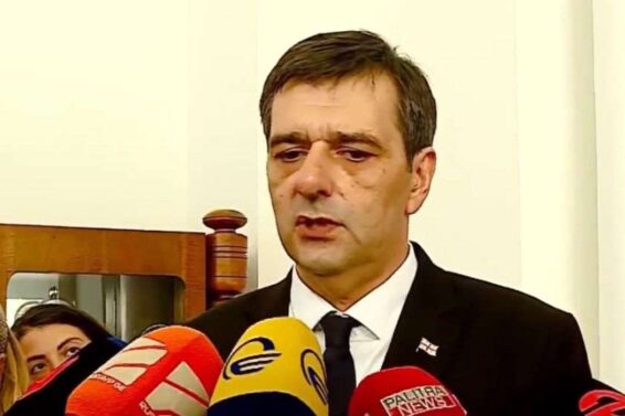 “პრეზიდენტის ინსტიტუტის დაცვაში რას გულისხმობენ, ვერ ვხდები"- პრეზიდენტის საპარლამენტო მდივანი