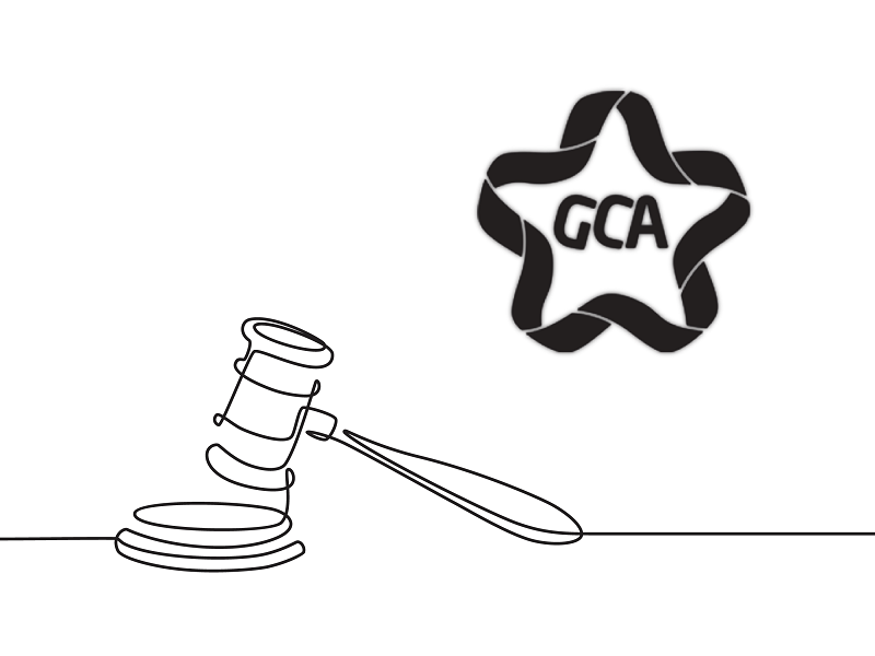 GCA-ის კრიმინალური ფინიში- ექსპერტები ასოციაციის მდგომარეობას აფასებენ