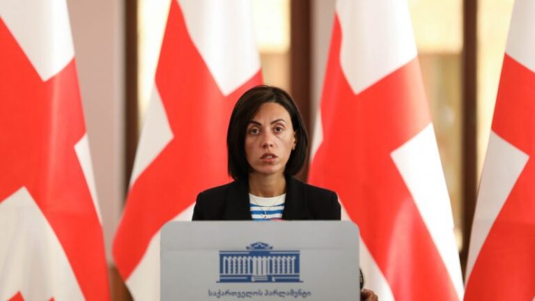 "ირაკლი, შენ ხარ რუსი!" – ანა წითლიძე კობახიძეს