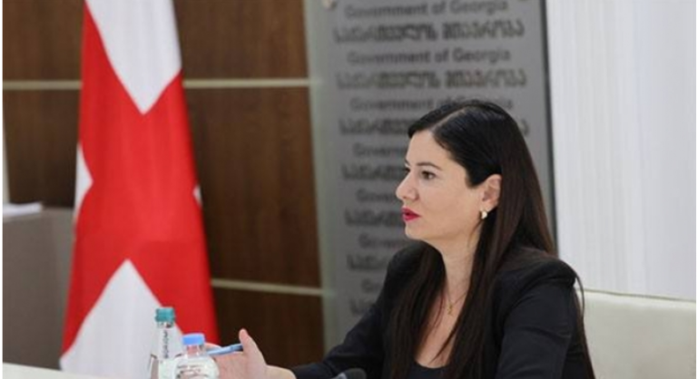 "ახალ სკანდალს ეძებენ, თუმცა ისევე როგორც სხვა შემთხვევებში, აქაც სკანდალური არაფერია"- ნინო გიორგობიანი