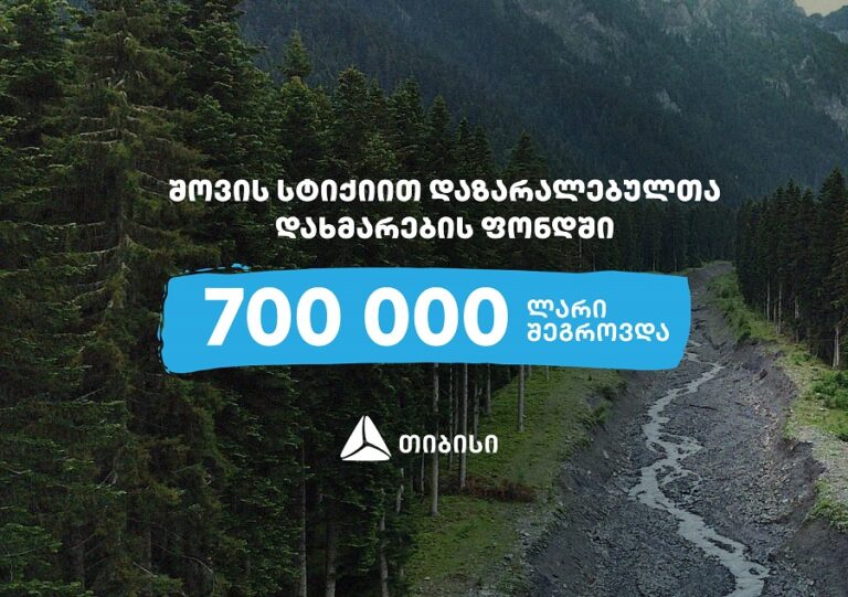 თიბისიმ შოვში სტიქიით დაზარალებულთა დახმარება დაიწყო