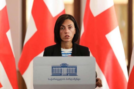 "სათქმელი იმდენი გვაქვს, მათ შორის, ხატია დეკანოიძესთან დაკავშირებითაც"- ანი წითლიძე