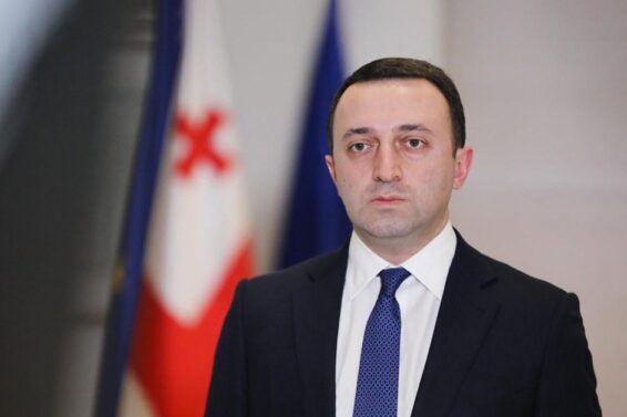 "დავინახეთ, რომ პრეზიდენტის მიმართ აქვთ წმინდა პოლიტიკური მოსაზრებები, გაბრაზებული და განაწყენებული არიან"-მაია კოპალეიშვილი