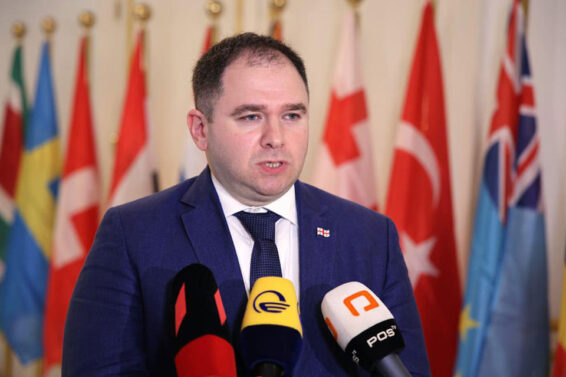 კანდიდატის სტატუსს იღებს ქვეყანა თავისი ხალხით და მთავრობით, დიდი იმედი მაქვს, ევროკავშირის გადაწყვეტილება პოზიტიური იქნება – ნიკოლოზ სამხარაძე