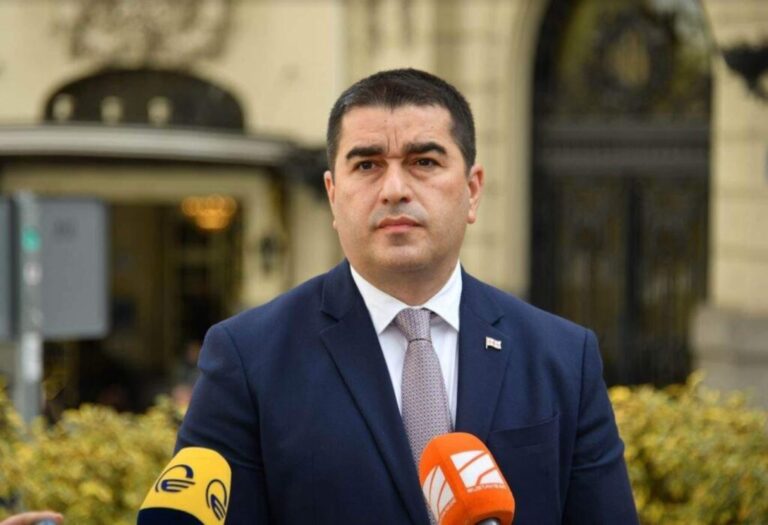 "NGO-ები, რომლებიც უცხოეთიდან ფინანსდებიან ამბობენ, რომ მათმა დამფინანსებლებმა უნდა გადაწყვიტონ, ვინ იყოს ან არ იყოს მოსამართლე" – შალვა პაპუაშვილი
