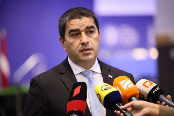 "ოჯახურ ღირებულებებთან დაკავშირებული კონსტიტუციური ცვლილებების საკითხზე საზოგადოების მხრიდან არის დიდი მხარდაჭერა"