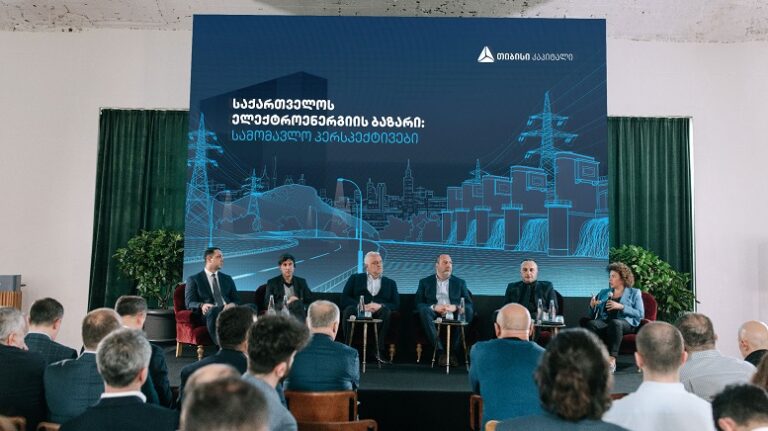 „საქართველოს ელექტროენერგიის ბაზარი: სამომავლო პერსპექტივები" – თიბისი კაპიტალმა ახალი პუბლიკაცია წარადგინა