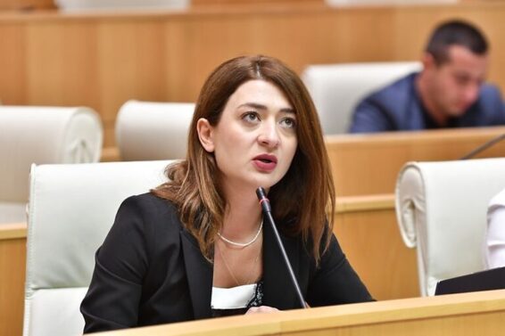 "ქართული ოცნების" ხელისუფლება საზოგადოებას ერთმანეთს აპირისპირებს-ანა ბუჩუკური"ოცნების" კონტრაქციაზე