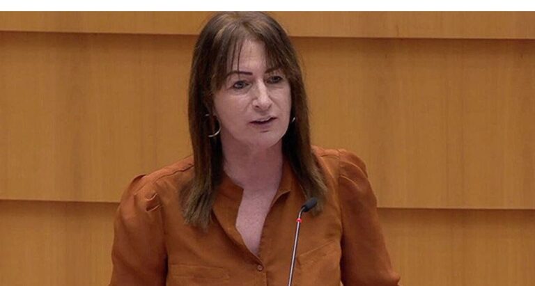 ,,საქართველოს მოქალაქეებმა თავად უნდა აშენონ საკუთარი მომავალი''- ევროპარლამენტარი კლერ დეილი