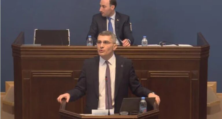 გიერთდებით, არა რუსულ კანონს -მამუკა მდინარაძე