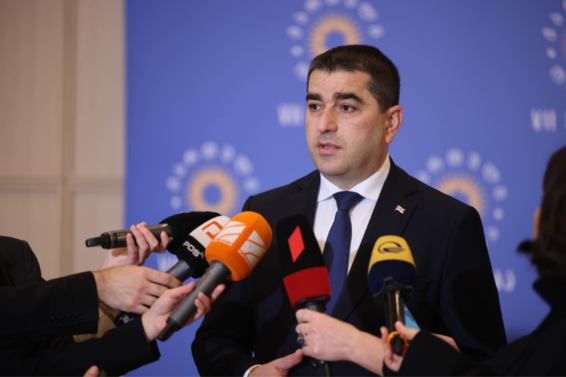 ყველა იმ ევროპელმა პოლიტიკოსმა მოიხადოს ბოდიში, ვინც სააკაშვილს პოლიტპატიმრად და არასათანადო მოპყრობის მსხვერპლად მოიაზრებდა -შალვა პაპუაშვილი