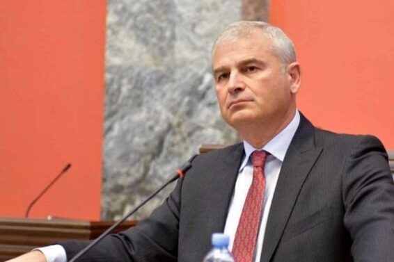 ვეტო ყველა შემთხვევაში დაიძლევა, იმიტომ, რომ ვეტოში არაფერი დევს გასათვალისწინებელი – ირაკლი ქადაგიშვილი