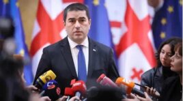 გავა დრო და მზია ამაღლობელის საქმეზე სტრასბურგის სასამართლოს გადაწყვეტილებით დადუმებული ელჩები გაიხსენებენ, რომ ისევ შეცდნენ, თუმცა ბოდიშს არც ამჯერად მოიხდიან -შალვა პაპუაშვილი