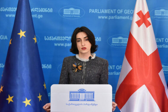 დეზინფორმაციაა, რომ "ქართულ ოცნებას" უკრაინის წინააღმდეგ კამპანია ჰქონდა წარმოებული, საქართველოს ხელისუფლება უკრაინელების გვერდით დგას-მაკა ბოჭორიშვილი