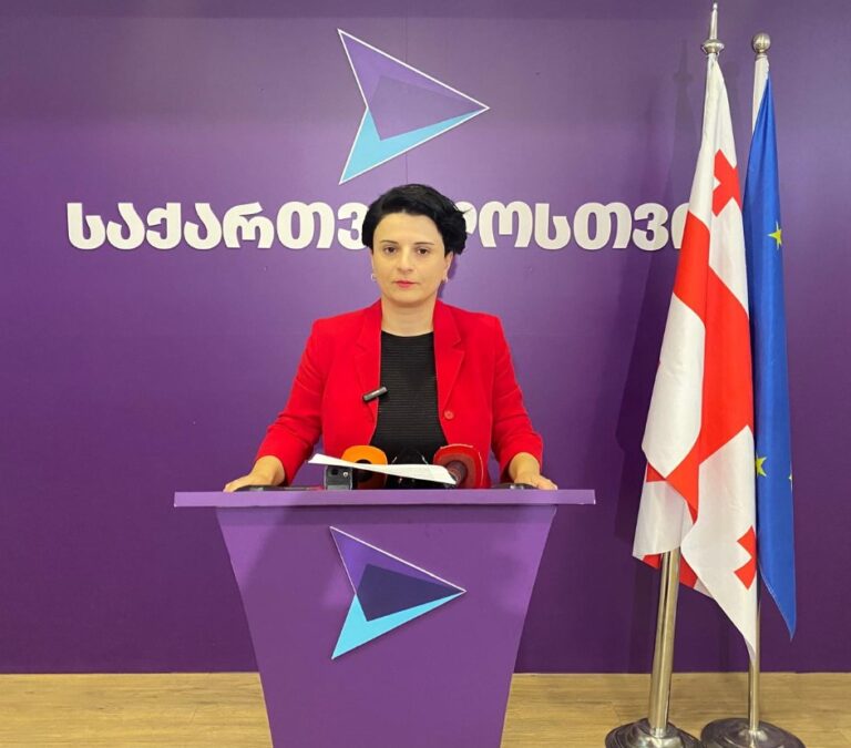 ვააქტიურებთ "არჩევნების დაცვის ჯგუფს", რომლის მთავარი მიზანი გაყალბების ფაქტების გამოვლენა და ხმების დაცვაა -ნათია მეზვრიშვილი