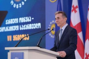 ბიძინა ივანიშვილი1