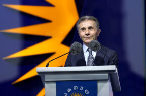 ბიძინა ივანიშვილი2