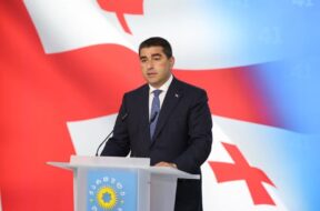 პაპუაშვილი1