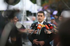 შალვა პაპუაშვილი2