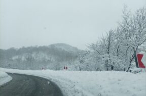 IMG_1224_Original