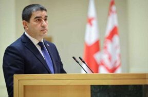 შალვა პაპუაშვილი1