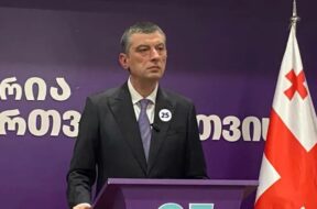 გახარია1