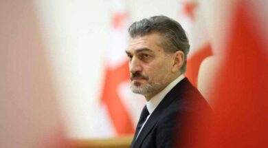 მიხეილ ყაველაშვილი