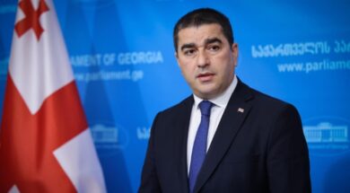 შალვა პაპუაშვილი1.