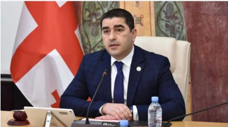 ,,ბოლო პერიოდში ვაკვირდებით, თუ რამდენად არაქართული არის ის ე.წ. პროტესტი, რომელსაც ჩვენ ვხედავთ''- შალვა პაპუაშვილი